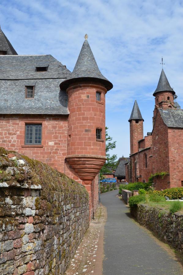 Chateau De Vassinhac Chambres D'Hotes Collonges La Rouge Eksteriør billede