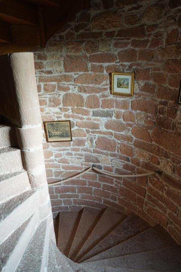 Chateau De Vassinhac Chambres D'Hotes Collonges La Rouge Eksteriør billede