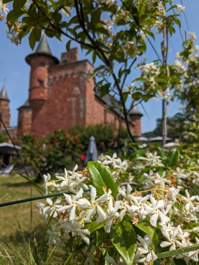 Chateau De Vassinhac Chambres D'Hotes Collonges La Rouge Eksteriør billede